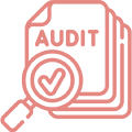 CAM-Audit-Services